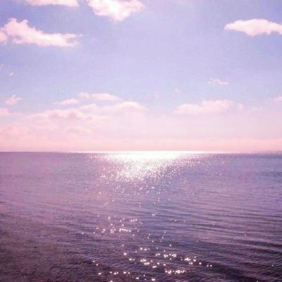 2047测试版下载
